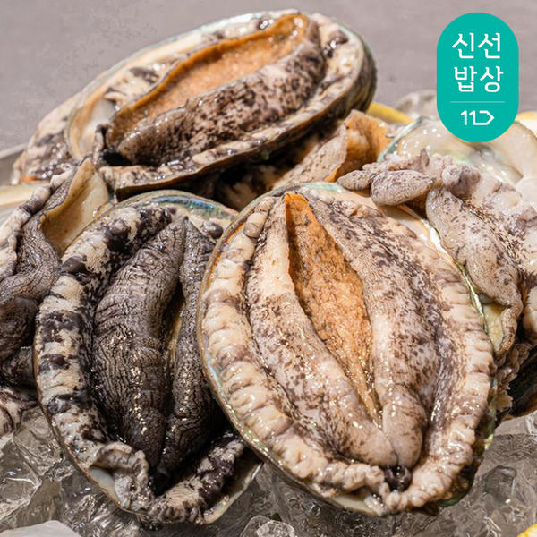 완도 활 전복 1kg