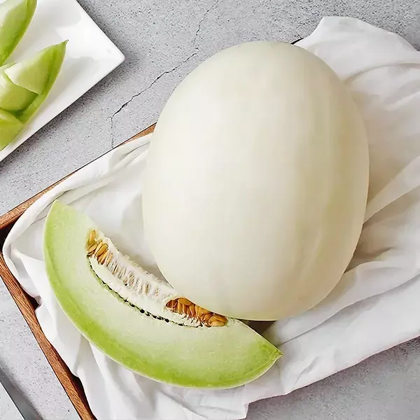 허니듀 멜론 1.8kg 2수