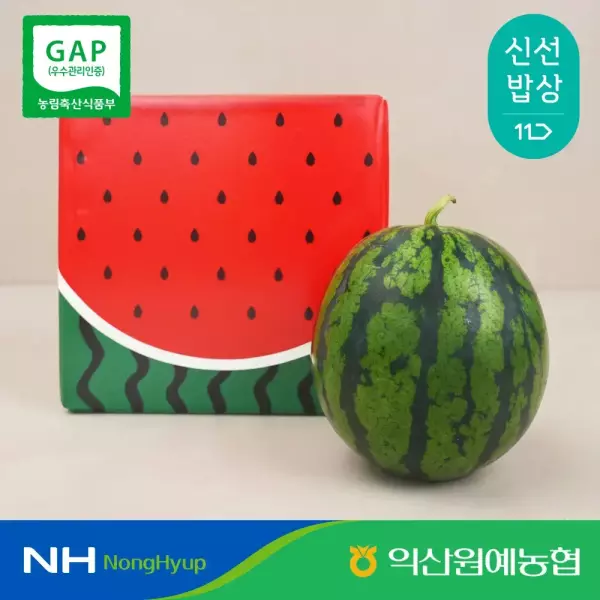 고당도 하우스 수박 8~9kg