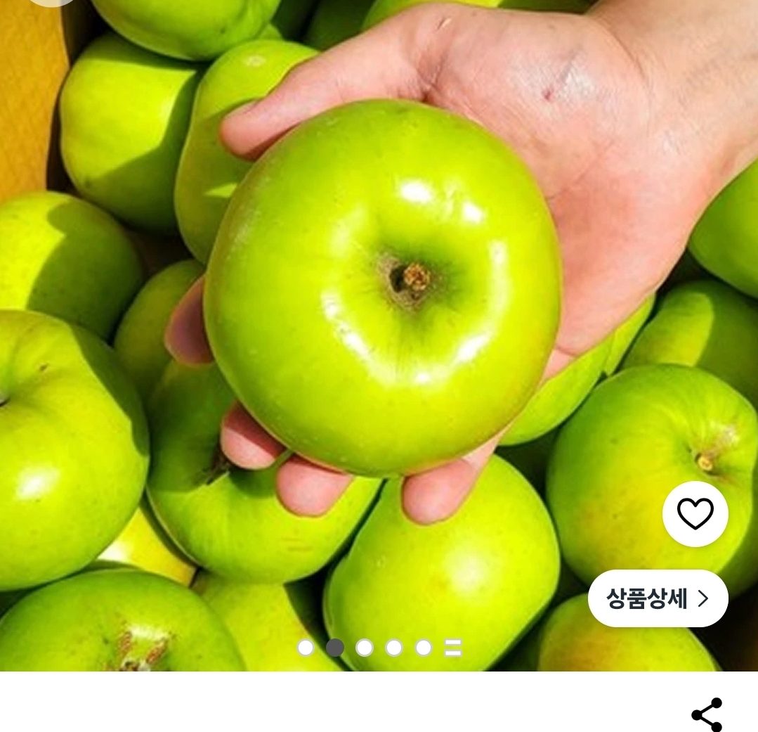 썸머킹 아오리사과 5kg