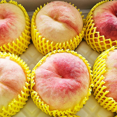 의성 복숭아 딱딱이 2kg