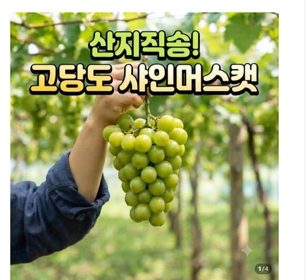 당도선별 고당도 프리미엄 1kg