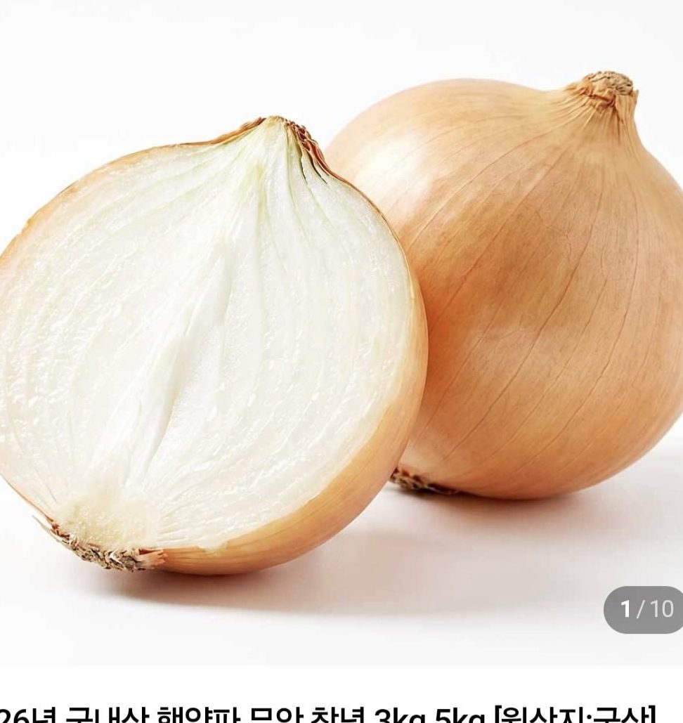 국내산 햇양파 1.5kg