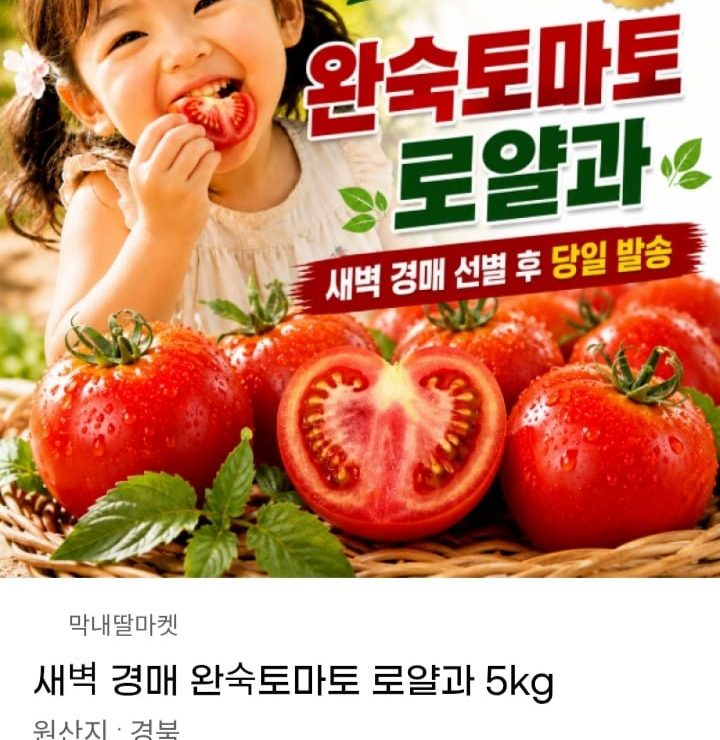완숙 토마토 5kg