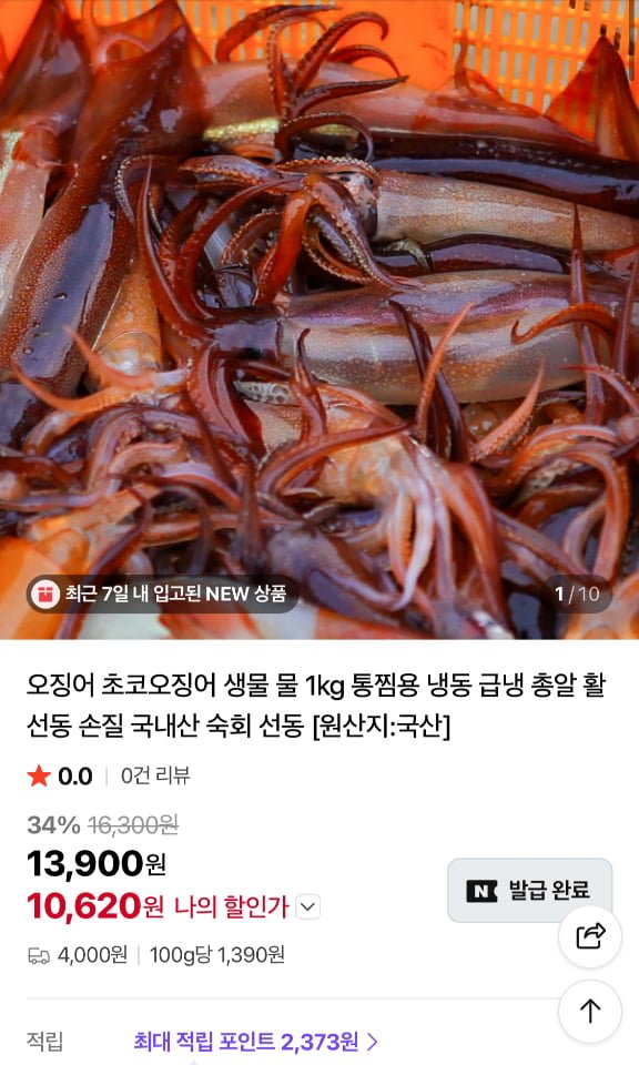 국산 생물 오징어 4-5미 1kg