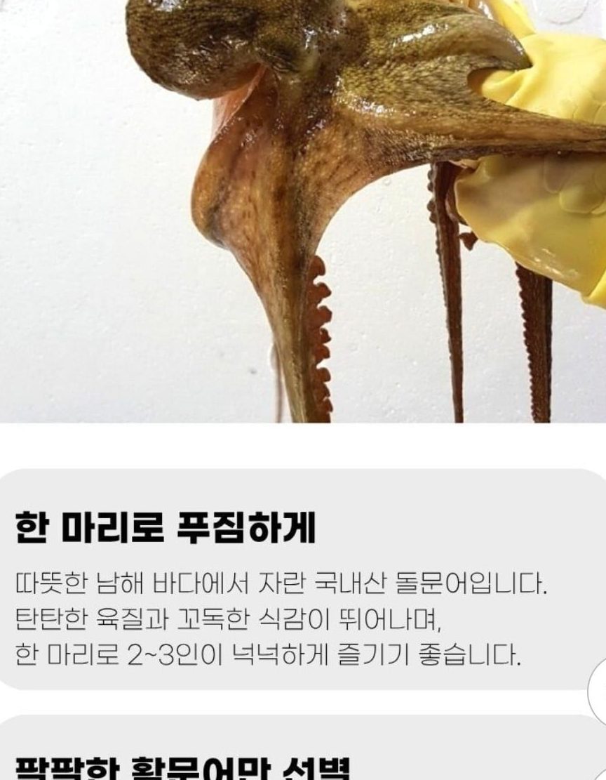 자연산 활 돌문어 700g