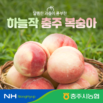 하늘작 고당도 복숭아 2.5kg